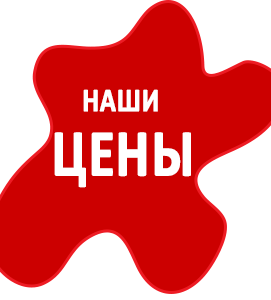 аниматоры в алматы, аниматоры цены,аниматоры недорого